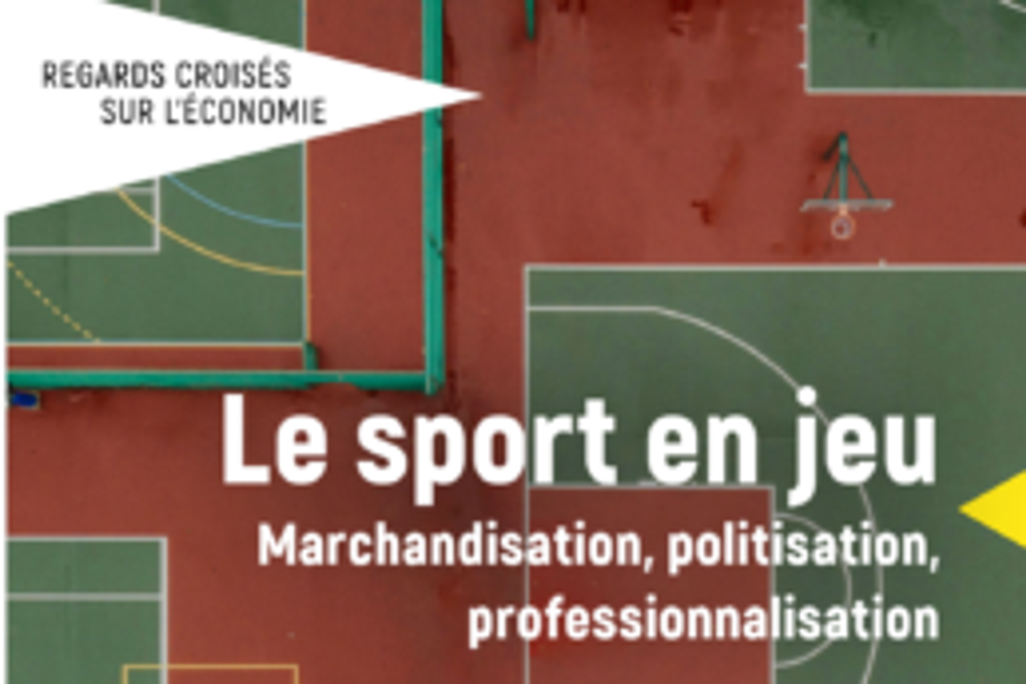 Le sport, reflet des jeux d'influences économiques et politiques