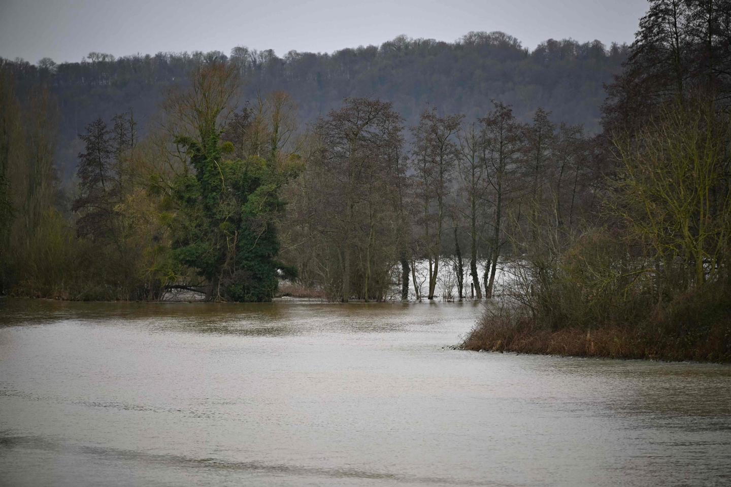 Marc-André Selosse, biologiste : « Face aux inondations et aux sécheresses, nos sols sont une solution »