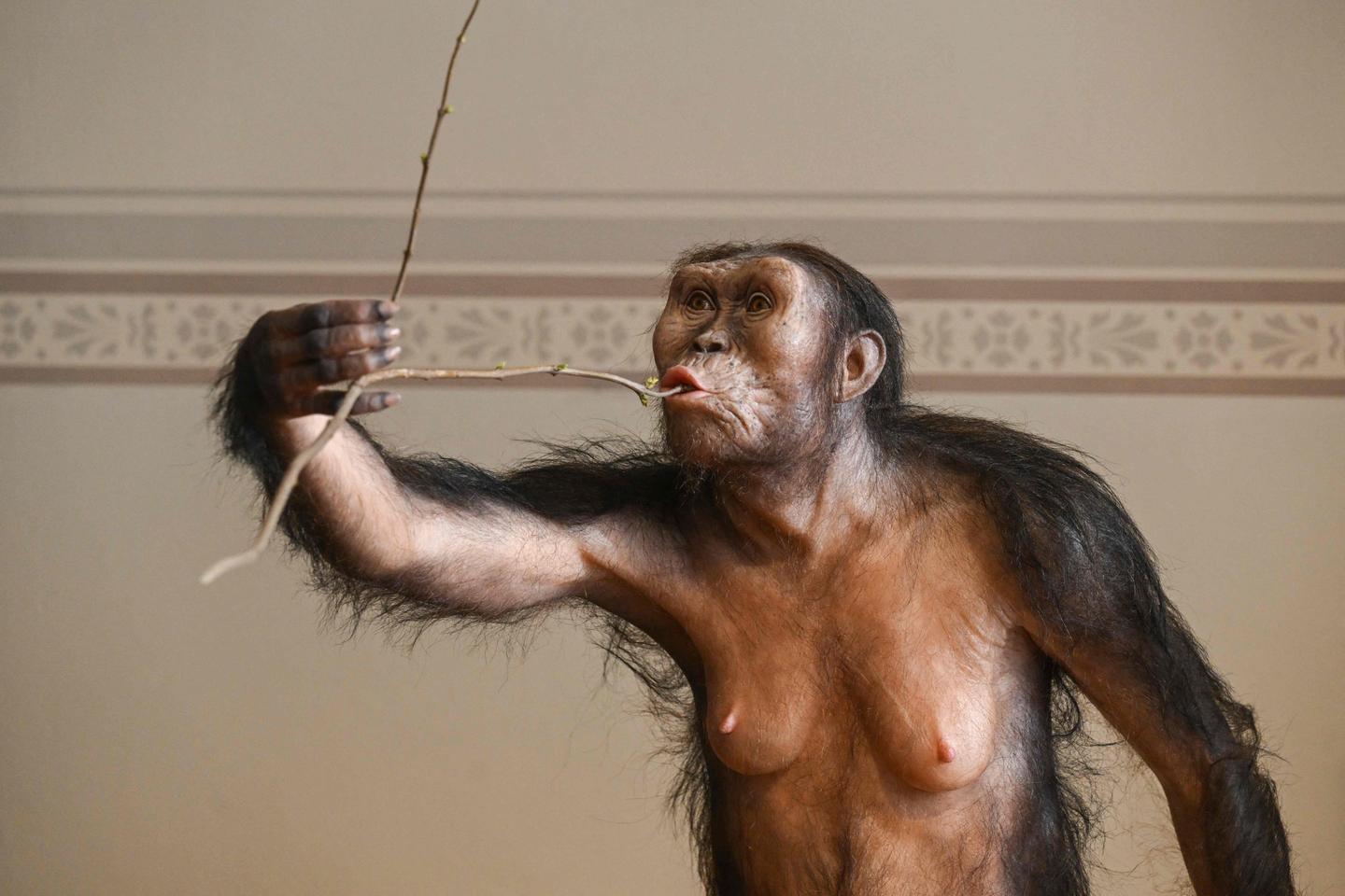 3.18 million-year-old Lucy to make first ever visit to Europe