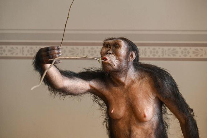 Images Le Monde.fr