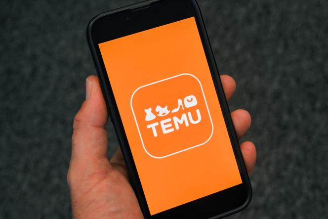 La plate-forme d’e-commerce Temu, en novembre 2024.