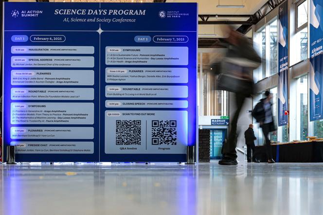Lors du Sommet pour l’action sur l’intelligence artificielle, à Paris, le 7 février 2025.