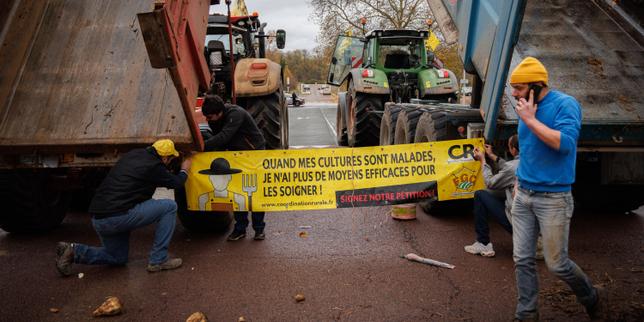La Coordination rurale bouscule l’hégémonie de la FNSEA sur les chambres d’agriculture