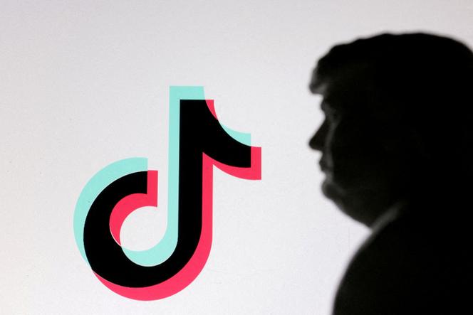 Une effigie de Donald Trump devant le logo de TikTok, le 19 janvier 2025.