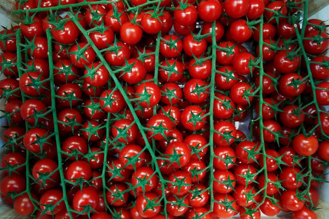 Des tomates cerises au marché international de Rungis, en mai 2020.