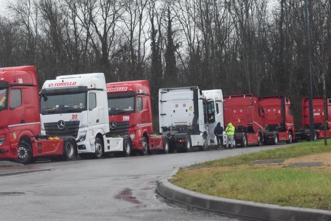 Des camions de l’entreprise italienne Torello, stationnés devant la plateforme logistique d’Action, à Belleville-en-Beaujolais (Rhône), le 8 février 2025.