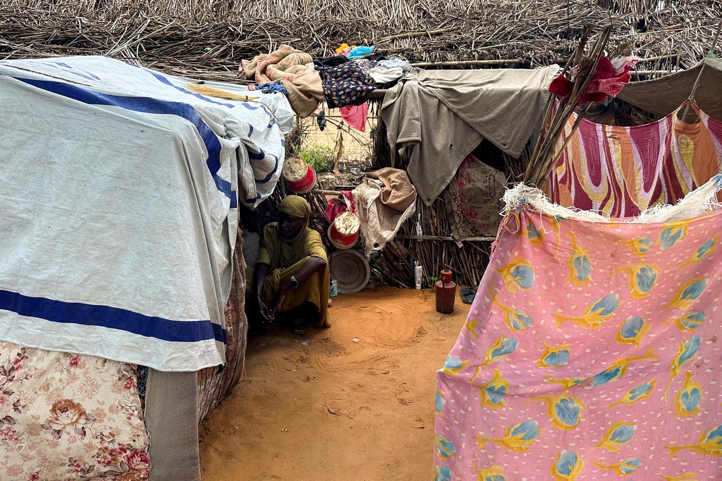 Heavy fighting in Sudan forces Doctors Without Borders to stop aid at a camp with 500,000 people