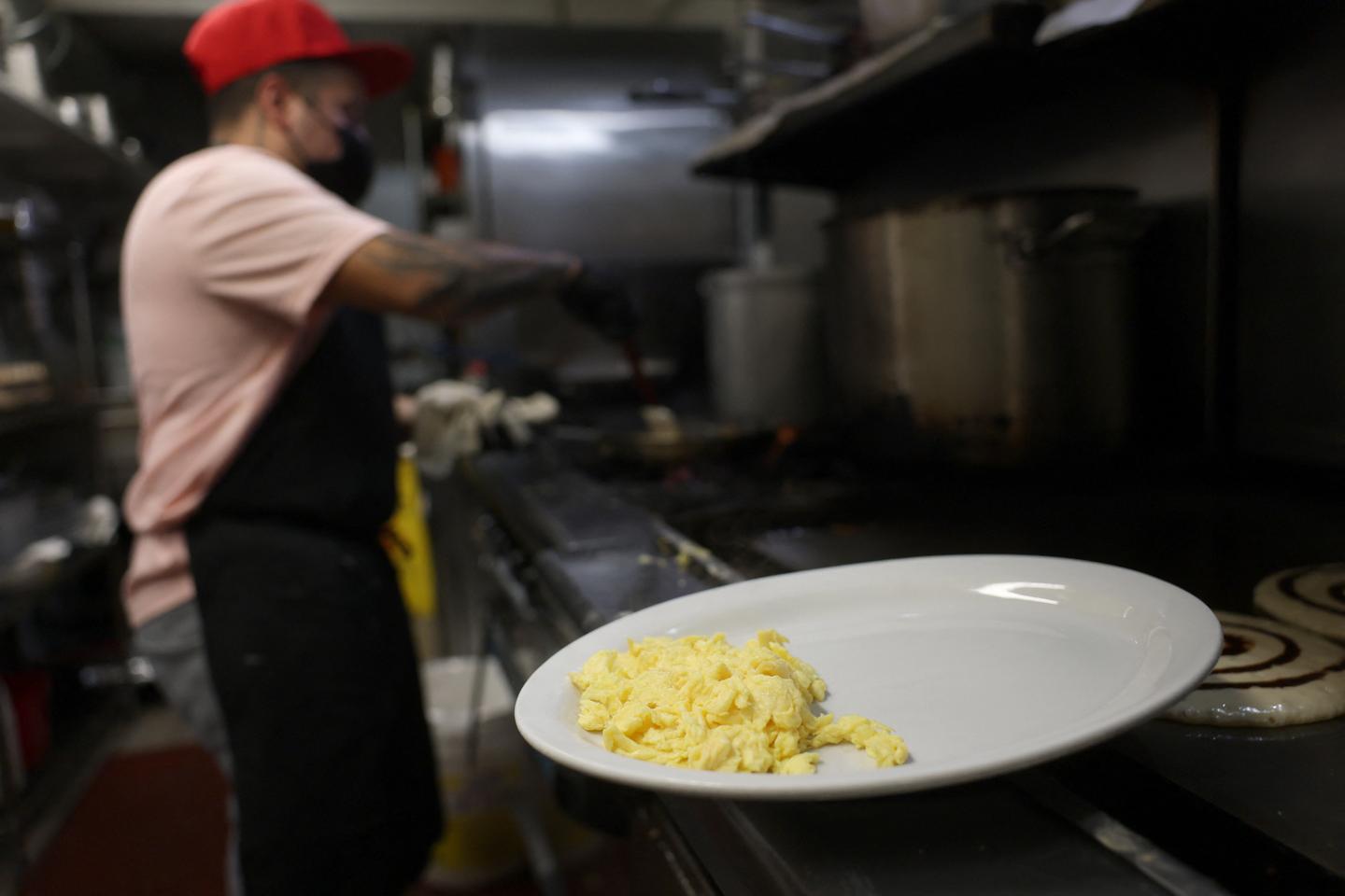 Bird flu: As the epidemic worsens, the US will import eggs from Turkey