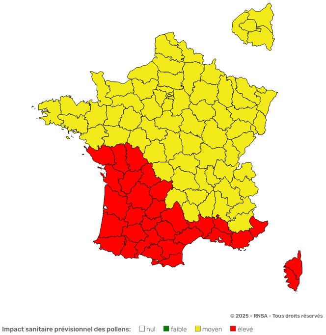 Capture d’écran du site du RNSA : carte de vigilance des pollens le 17 février 2025.