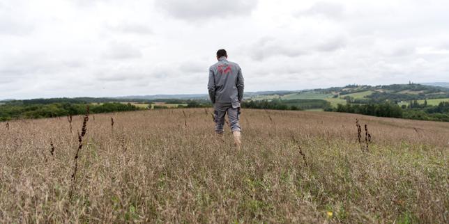 Projet de loi agricole : l’objectif de surfaces en bio pour 2030 disparaît dans la version du Sénat