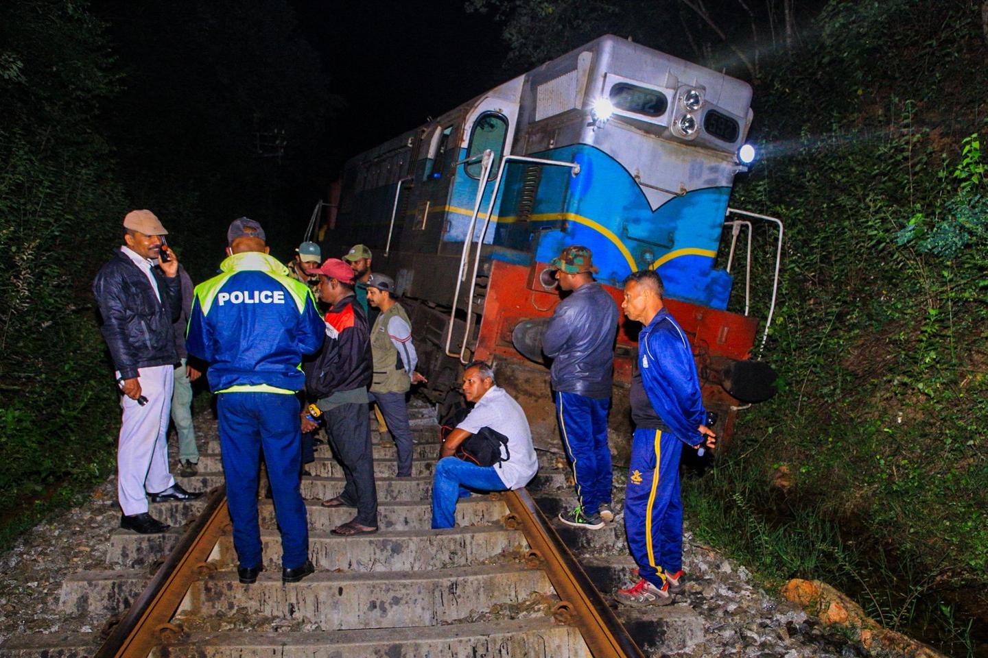 Sri Lanka train derails after smashing into elephants