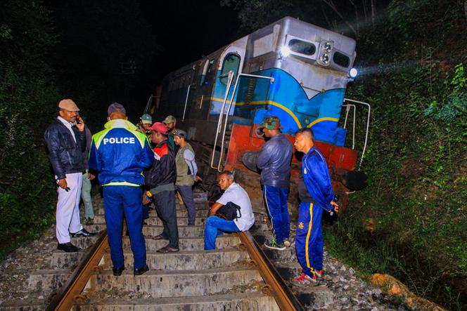 Sri Lanka train derails after smashing into elephants