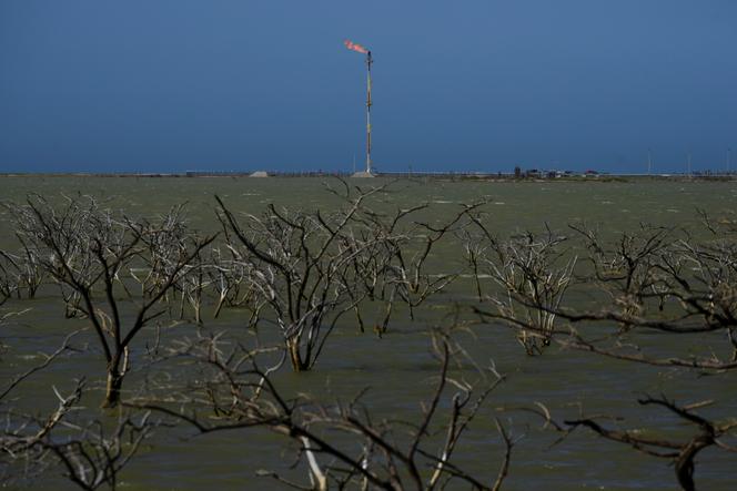 Images Le Monde.fr