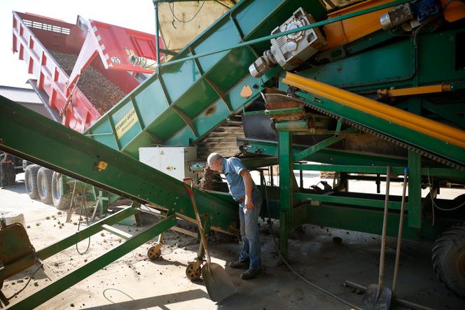 Un cultivateur de pommes de terre adhérent d’une coopérative d’utilisation de matériel agricole à Avesnes-le-Sec (Nord), en septembre 2024.