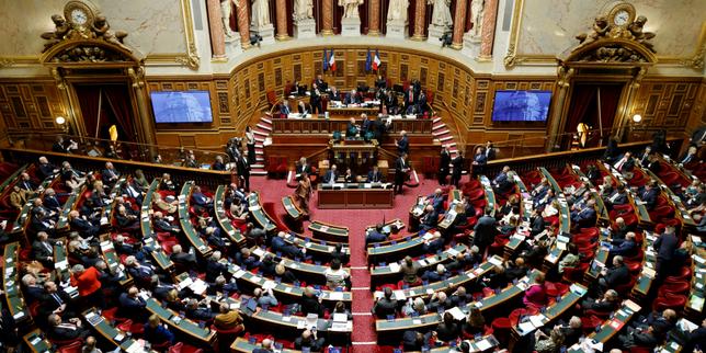 Le Sénat vote une loi interdisant le mariage aux étrangers en situation irrégulière, avec l’appui du gouvernement