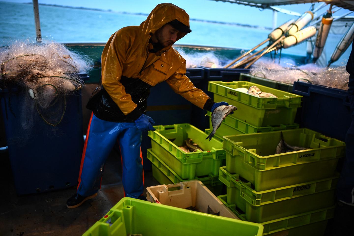 4週間の停止後、ガスコーニュ湾での漁業の再開
