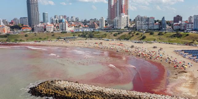 En Argentine, une « marée rouge » d’algues sur les plages atlantiques