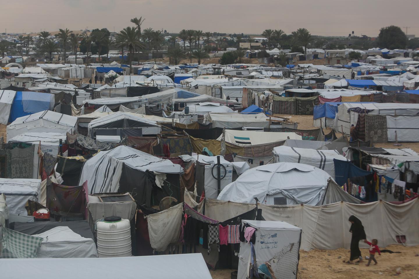 Egypt's double game in Gaza