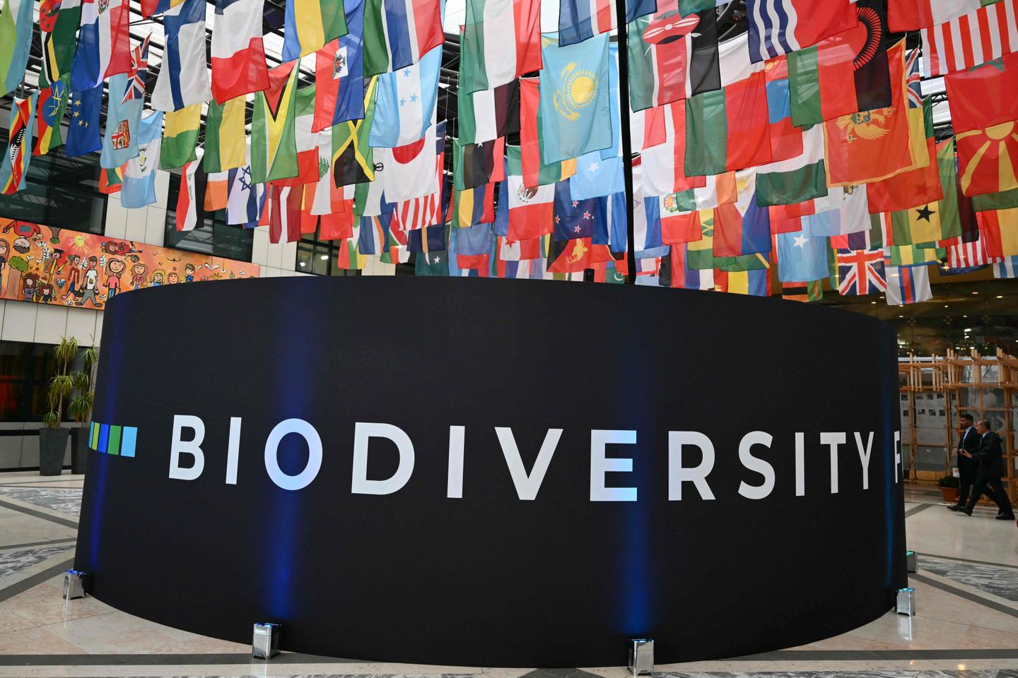 Researchers stunned by denial of biodiversity collapse: 'We're right, not the lobbies'
