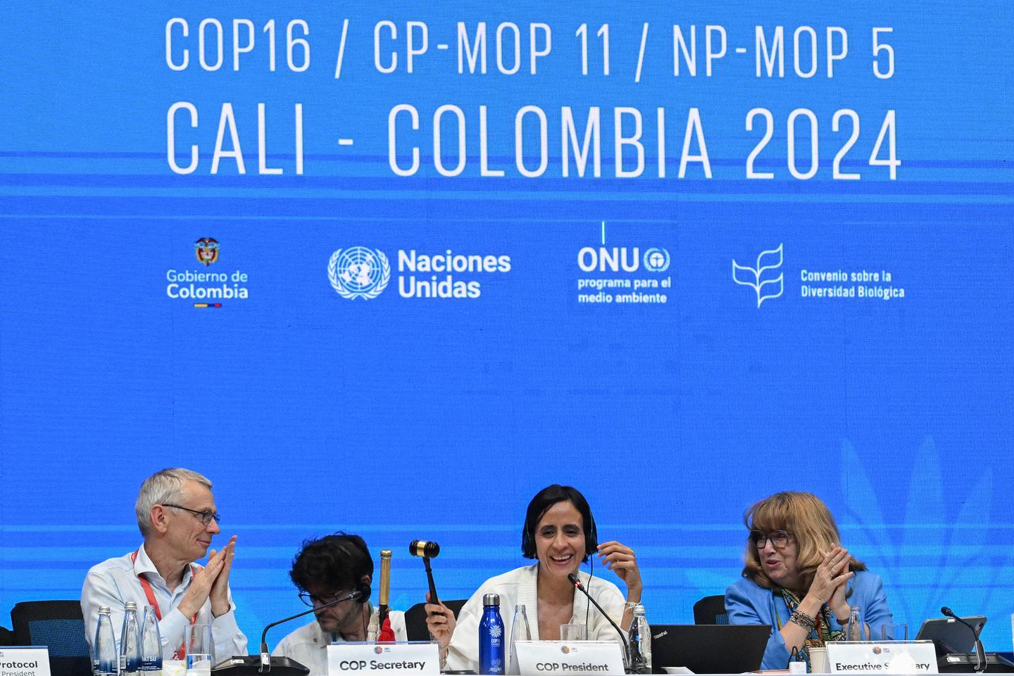 Biodiversity: A catch-up session in Rome to try to bring COP16 to a close