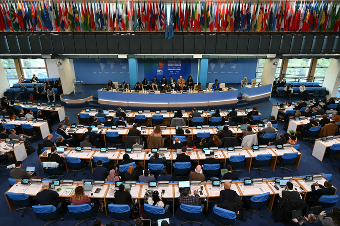 Lors de la 16ᵉ conférence mondiale sur la biodiversité (COP16) au siège de l’Organisation des Nations unies pour l’alimentation et l’agriculture (FAO) à Rome, le 25 février 2025.