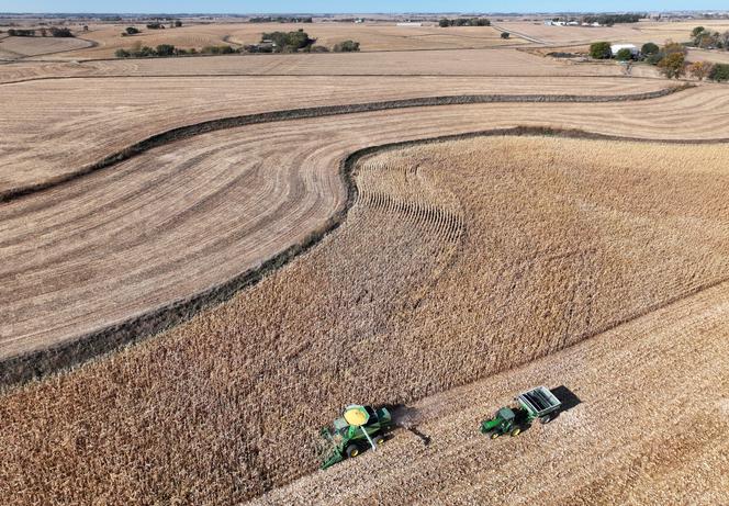 Une moissonneuse-batteuse récolte du maïs près d’Omaha, dans le Nebraska (Etats-Unis), le 24 octobre 2024.