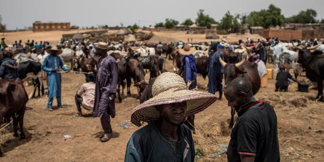 Niger : seize civils tués dans deux attaques de « bandits armés », rapporte la radio nationale