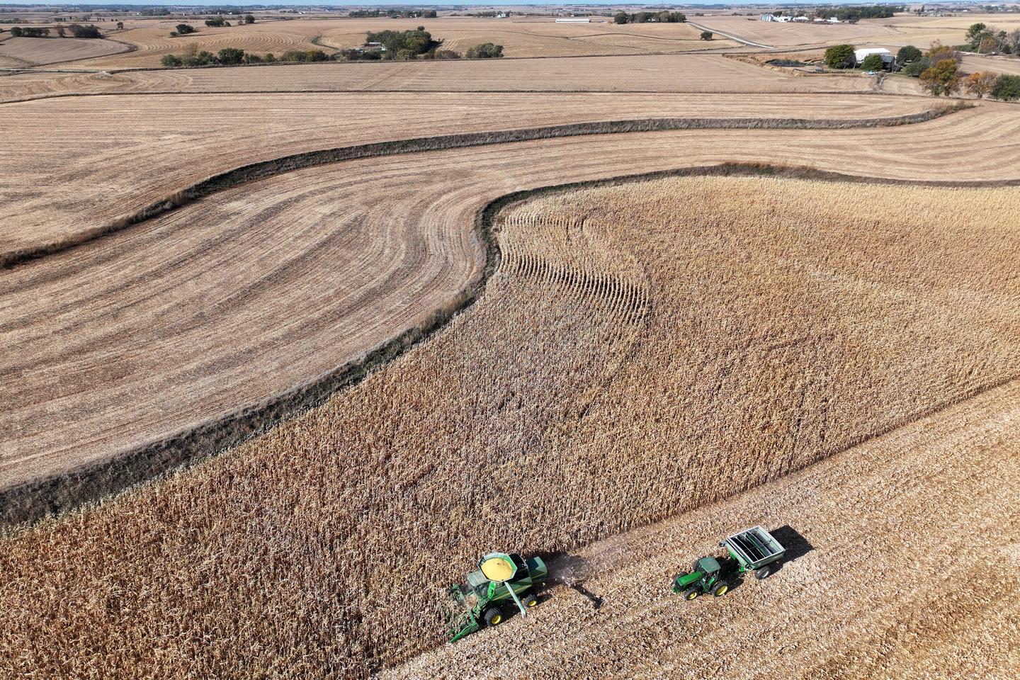 Aux Etats-Unis, l’usage généralisé de maïs OGM insecticides nourrit la résistance des ravageurs