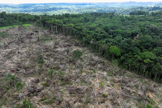 Zone touchée par la déforestation près d’Uruara, dans l’Etat du Para, au Brésil, le 21 janvier 2023.
