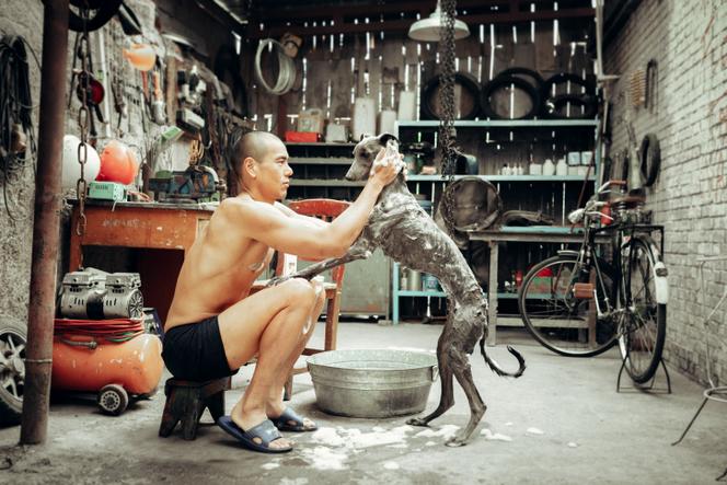 Lang (Eddie Peng), Daz «Black Dog», Guan.