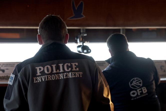 Des agents de l’Office français de la biodiversité observent des oiseaux dans la réserve naturelle de Saint-Denis-du-Payré, le 27 février 2025.
