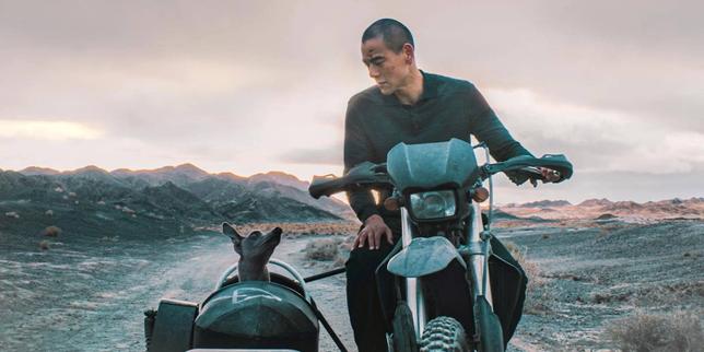 Les films à l’affiche : « Mickey 17 », « Black Dog », « Les Filles du Nil »…