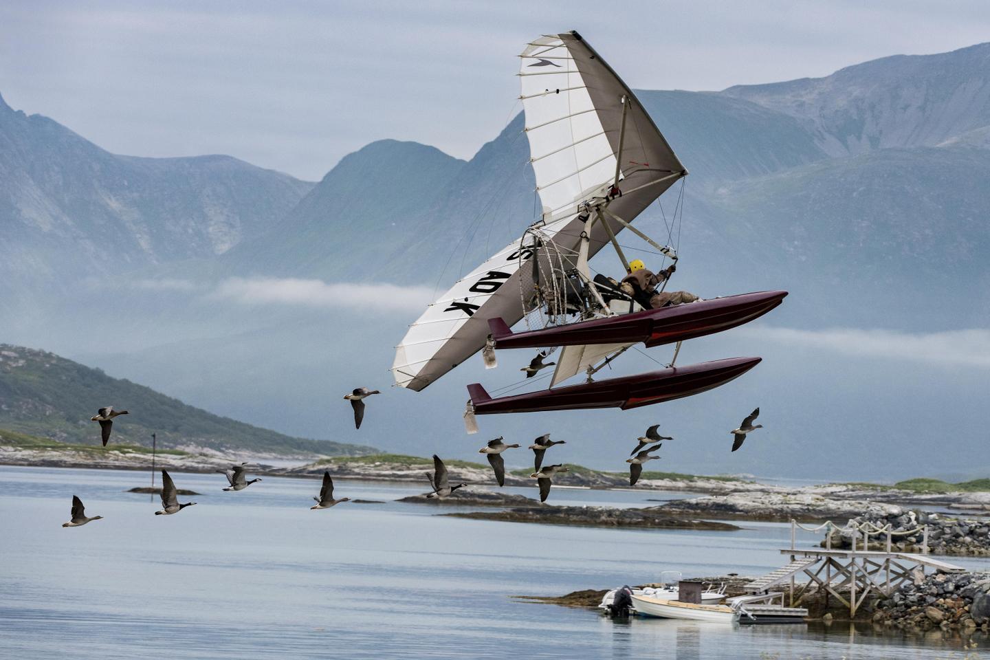 Après la destruction de nids de flamants roses, la production du film « Donne-moi des ailes »,...