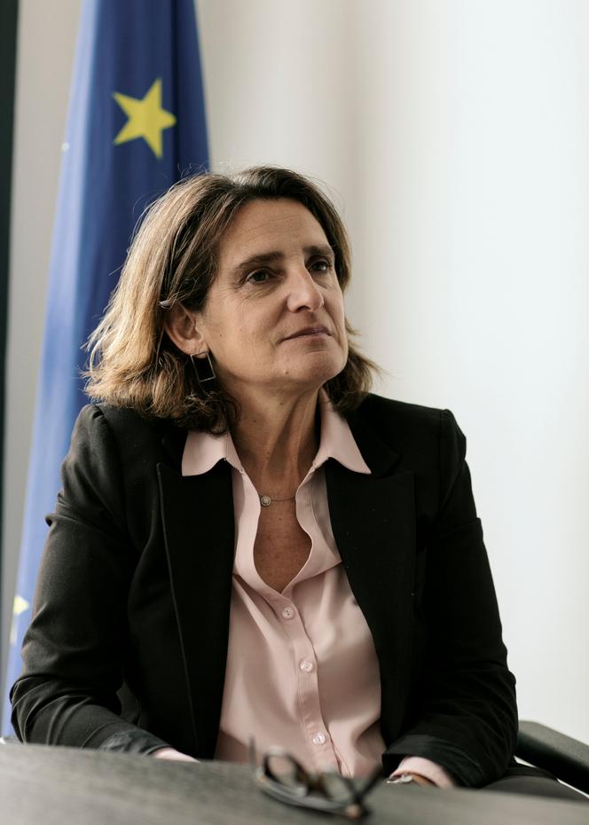 Teresa Ribera, première vice-présidente exécutive de la Commission européenne pour une transition propre, juste et compétitive et commissaire à la concurrence, à Paris, le 10 mars 2025.