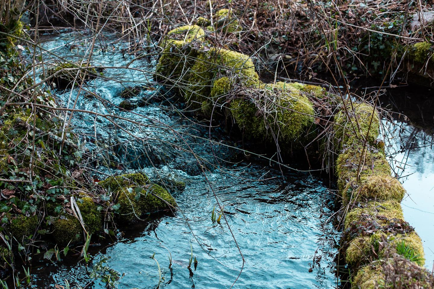 A dive into the sources of the Seine in Burgundy