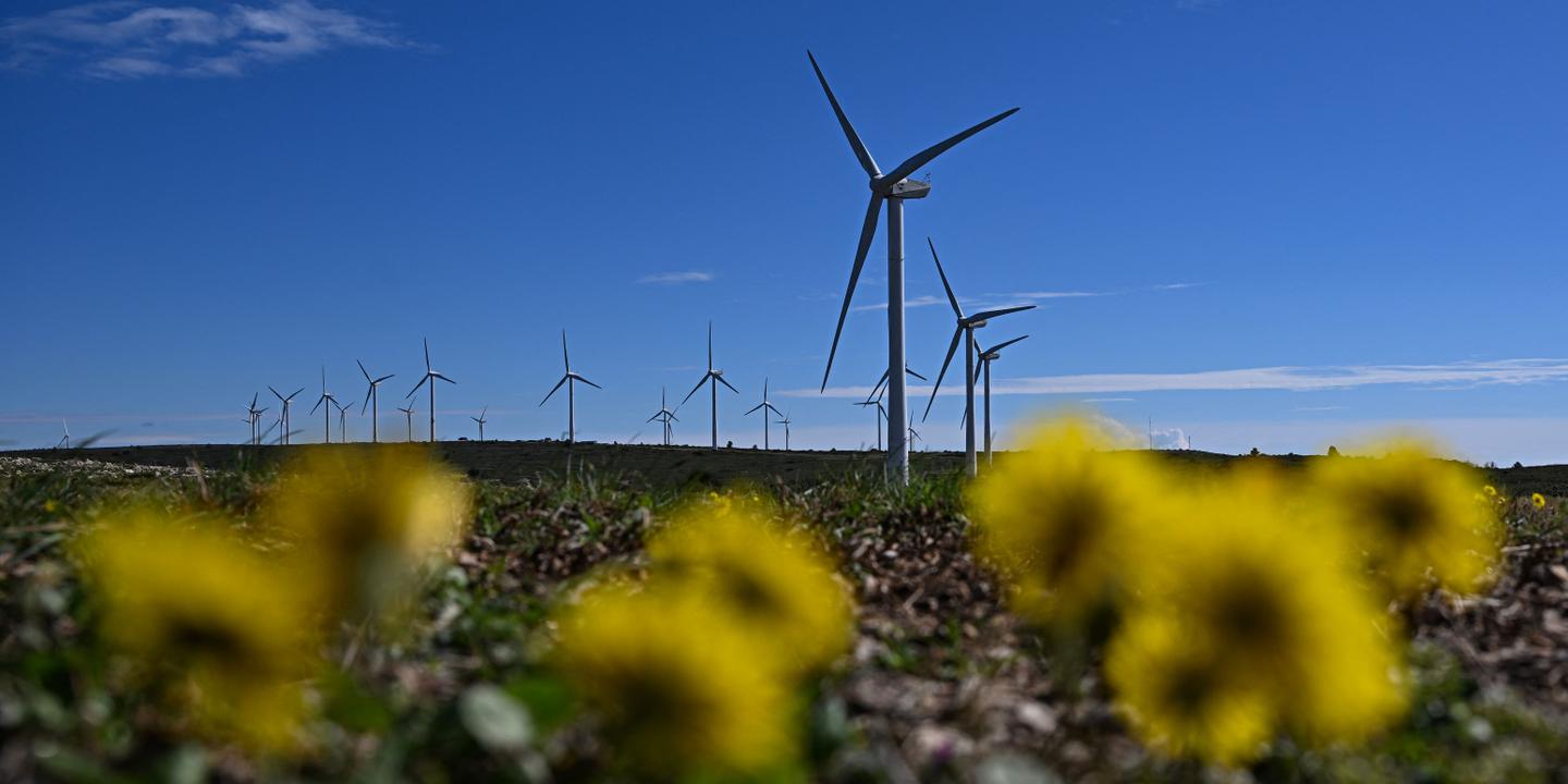 83% des travailleurs européens veulent un emploi bon pour l'environnement