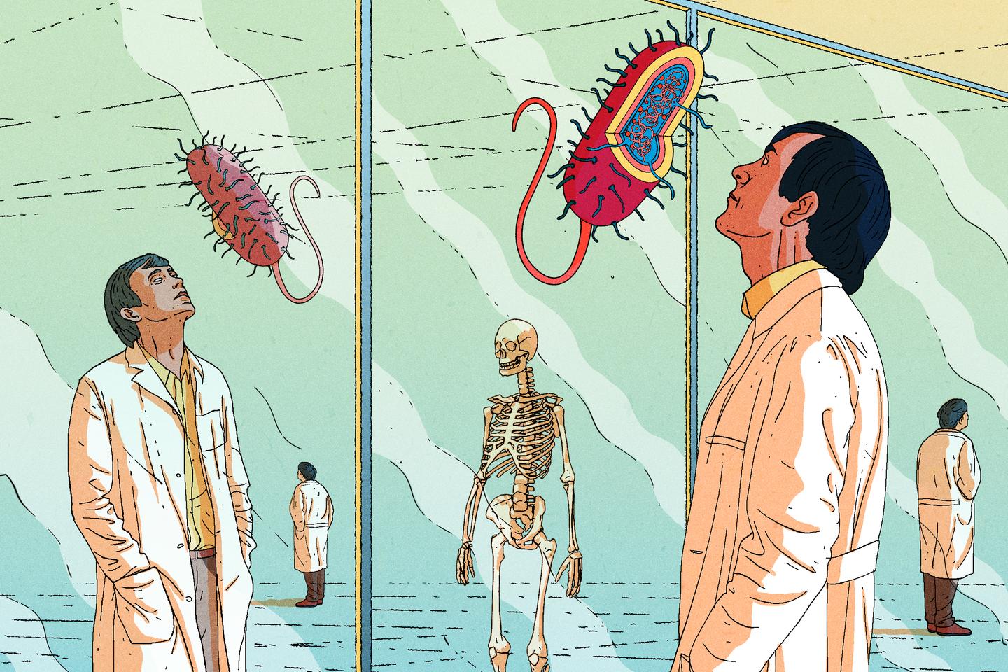 Mirror bacteria could 'eliminate life on Earth.' Should all research in this area be banned?