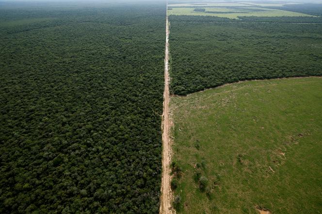 Zone de déforestation, près de Las Lomitas, à Formosa, en Argentine, en avril 2023.