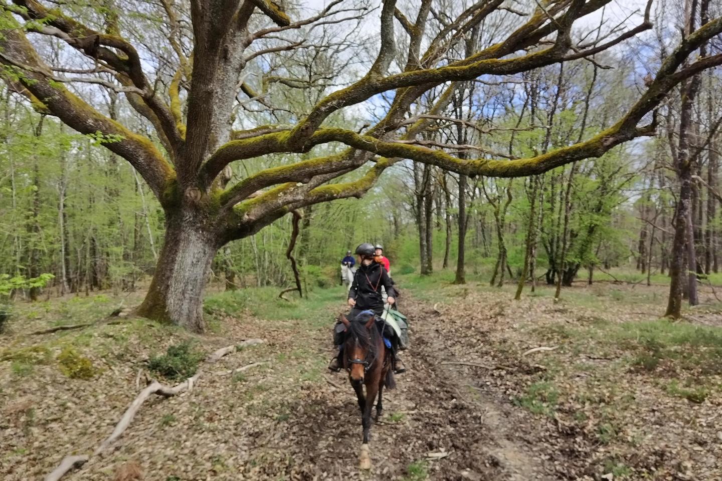 A cheval et à pied sur un pan de la route d’Artagnan