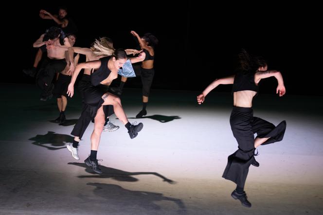 « Fugaces », d’Aina Alegre, au Centre chorégraphique national de Grenoble, en mars 2025.