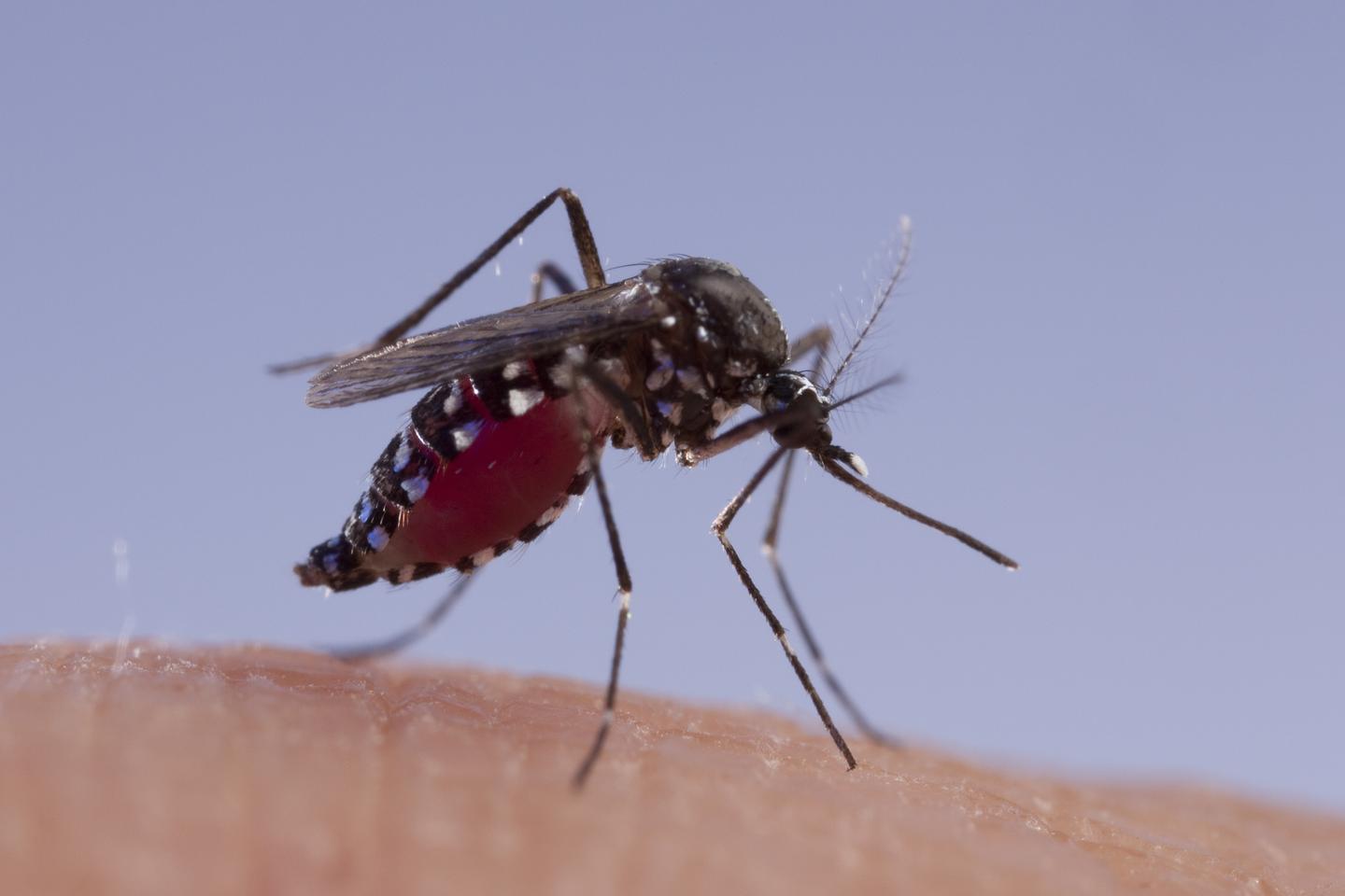 2024年8月の流行の開始以来、再会で2人の最初に確認された死亡
