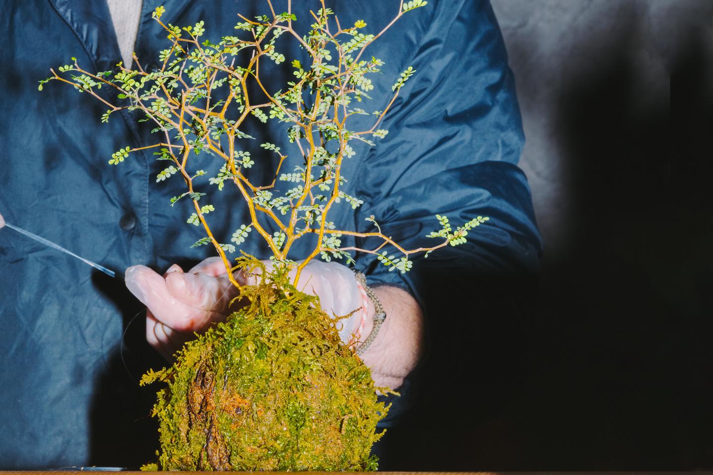Cinq cadeaux de NoÃ«l Ã  rÃ©aliser soi-mÃªme