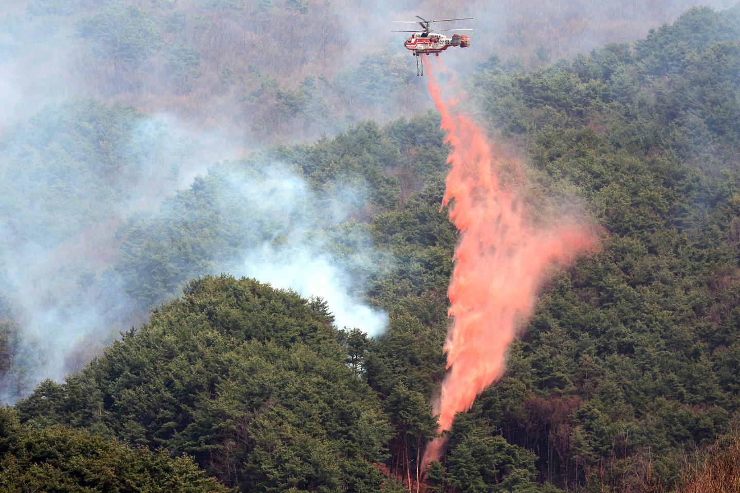 Incendies en Corée du Sud : au moins vingt-quatre morts