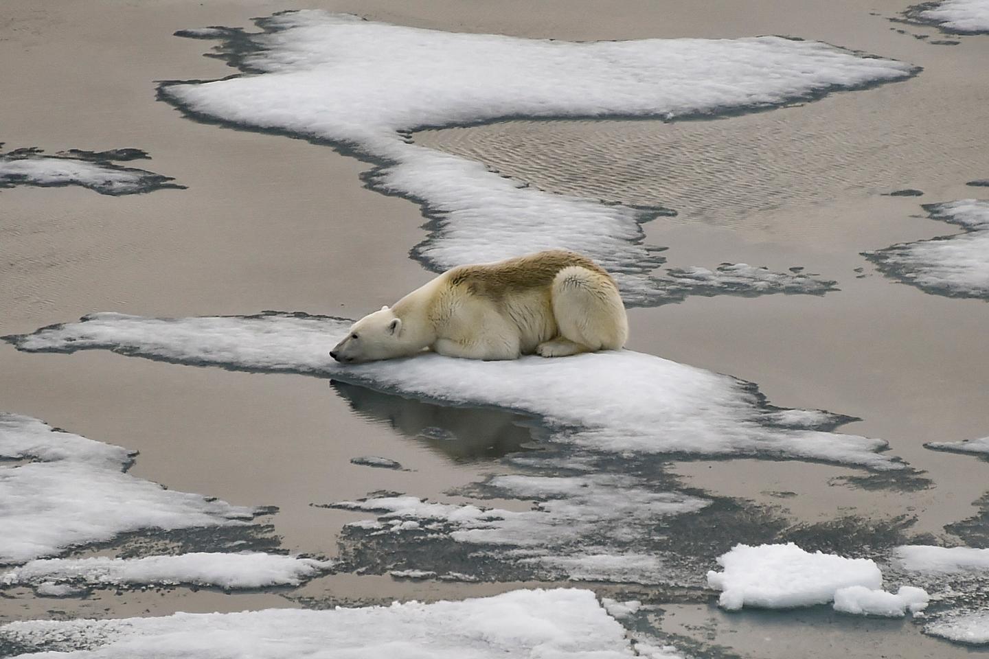 Arctic sea ice hits record low for its usual peak growth period