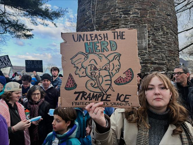 Images Le Monde.fr