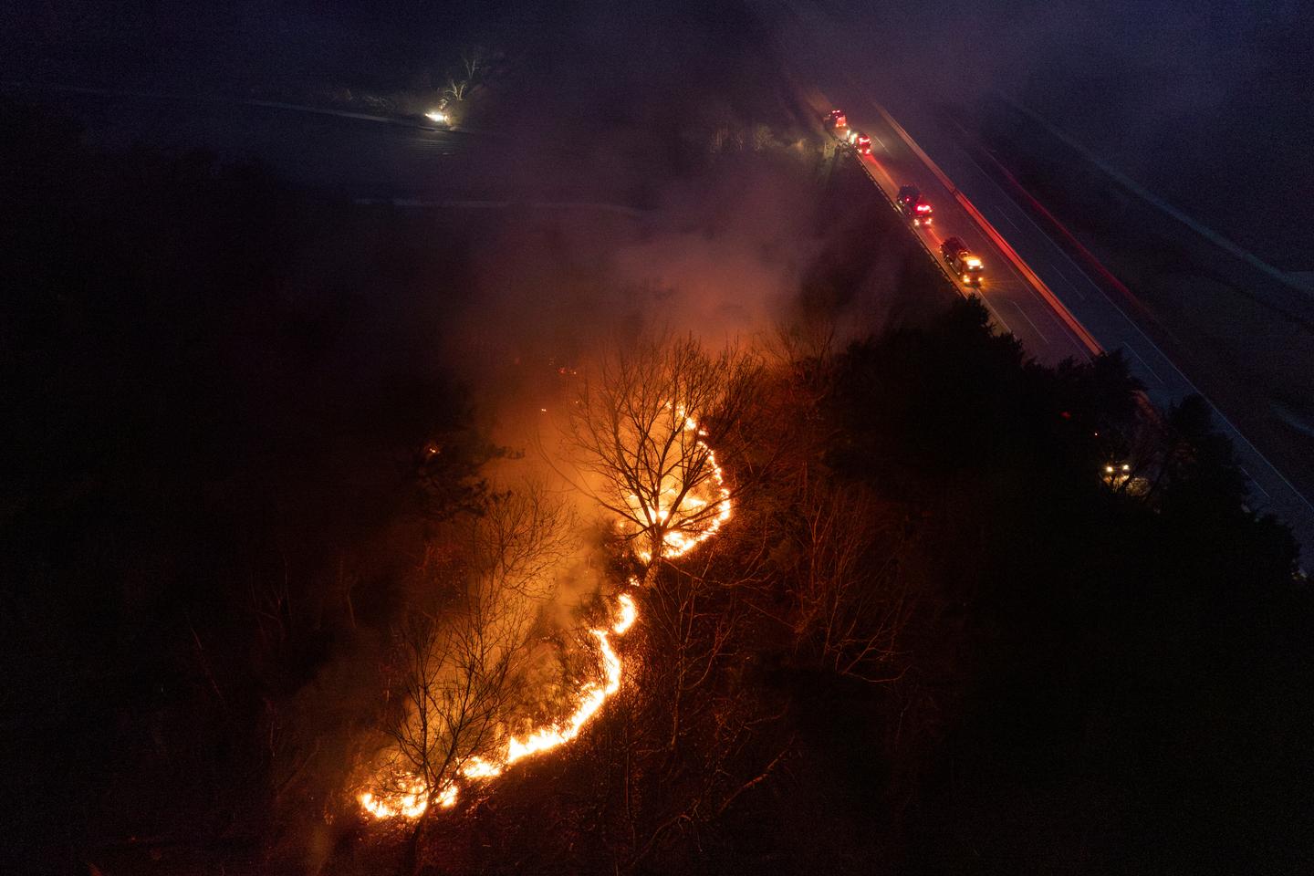 En Corée du Sud, les feux de forêt aggravés par un manque de moyens et de personnels qualifiés