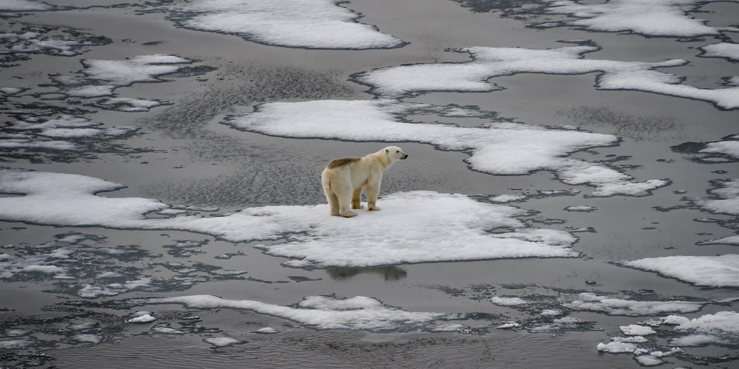 L’administration Trump annule un rapport de référence sur l’Arctique, une nouvelle atteinte à la science du climat aux Etats-Unis