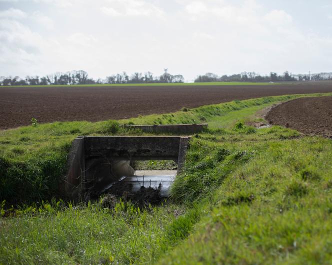 Juste après le point de captage de Casse-Mortier, l’eau déversée dans les champs s’écoule dans la fosse menant au point de captage suivant. La fosse est entourée par des champs cultivés, à Clavette (Charente-Maritime), le 11 mars 2021 .