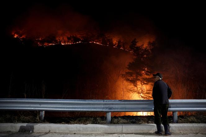 Un homme devant un incendie de forêt, dans la région d'Andong, en Corée du Sud, le 26 mars 2025.