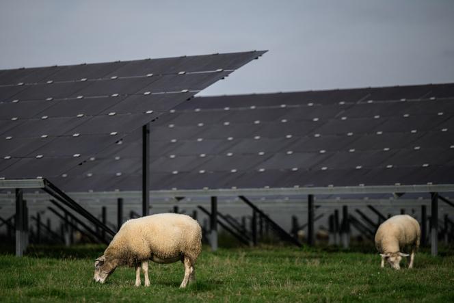 Des panneaux photovoltaïques dans un champ, près de Verneuil (Nièvre), en octobre 2022.